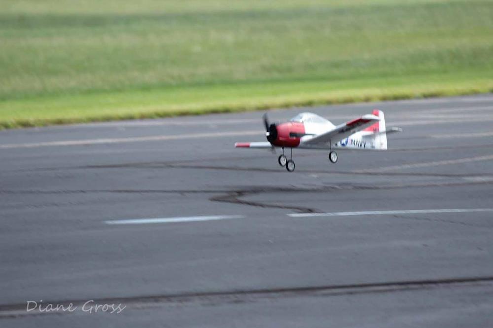 Click image for larger version

Name:	IMG_2570.JPG
Views:	310
Size:	63.0 KB
ID:	139252