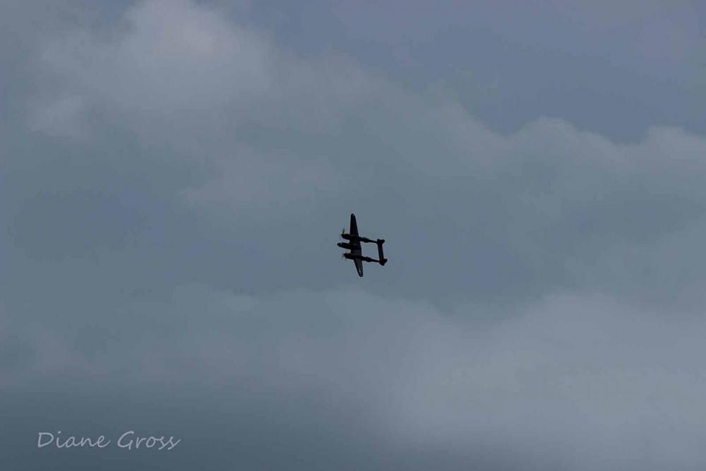 Click image for larger version

Name:	IMG_2579.JPG
Views:	424
Size:	31.3 KB
ID:	139262