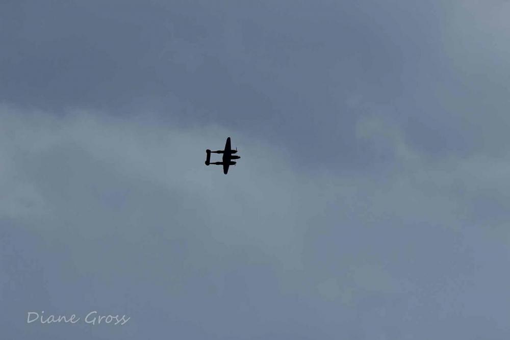 Click image for larger version

Name:	IMG_2582.JPG
Views:	397
Size:	29.0 KB
ID:	139264