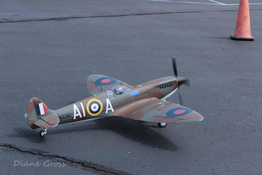 Click image for larger version

Name:	IMG_2606.JPG
Views:	422
Size:	106.3 KB
ID:	139289