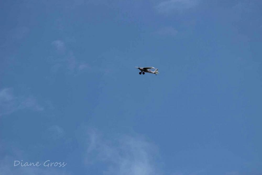 Click image for larger version

Name:	IMG_2609.JPG
Views:	381
Size:	30.3 KB
ID:	139292