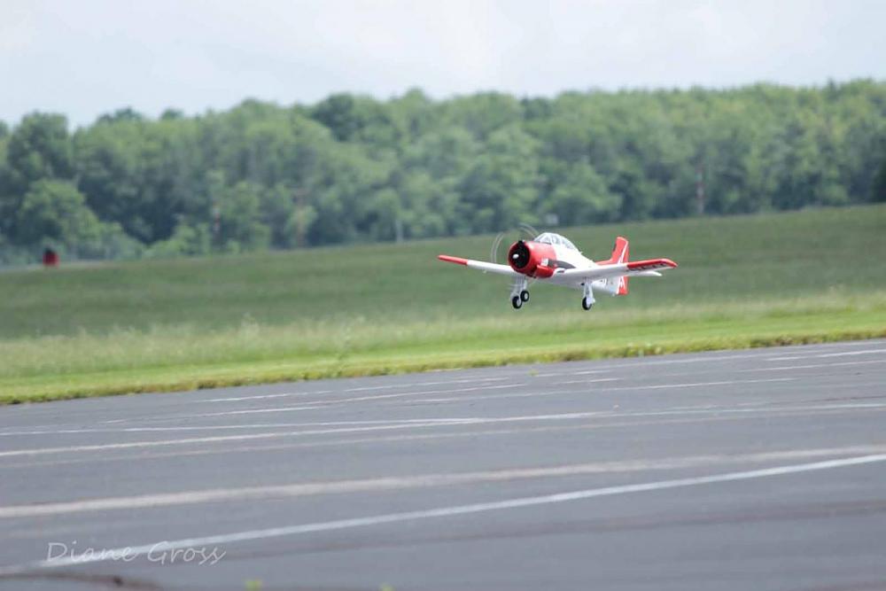 Click image for larger version

Name:	IMG_2624.JPG
Views:	330
Size:	72.3 KB
ID:	139309