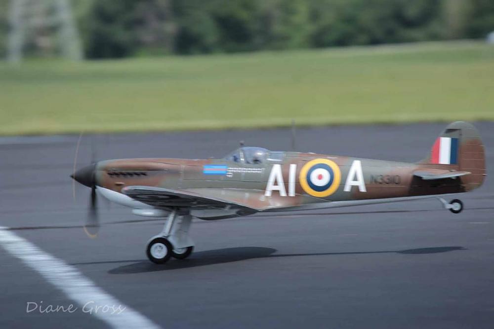 Click image for larger version

Name:	IMG_2630.JPG
Views:	373
Size:	65.0 KB
ID:	139315