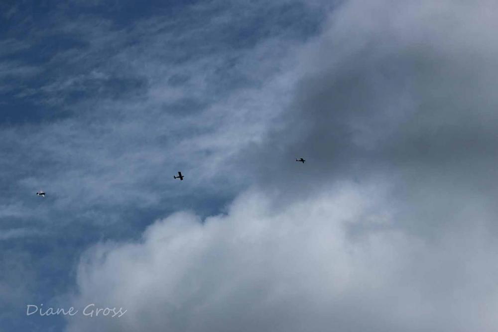 Click image for larger version

Name:	IMG_2632.JPG
Views:	314
Size:	48.4 KB
ID:	139388