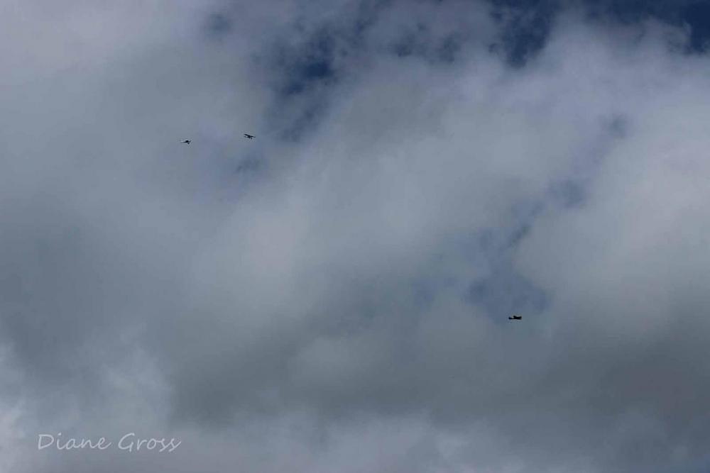 Click image for larger version

Name:	IMG_2654.JPG
Views:	289
Size:	39.5 KB
ID:	139411