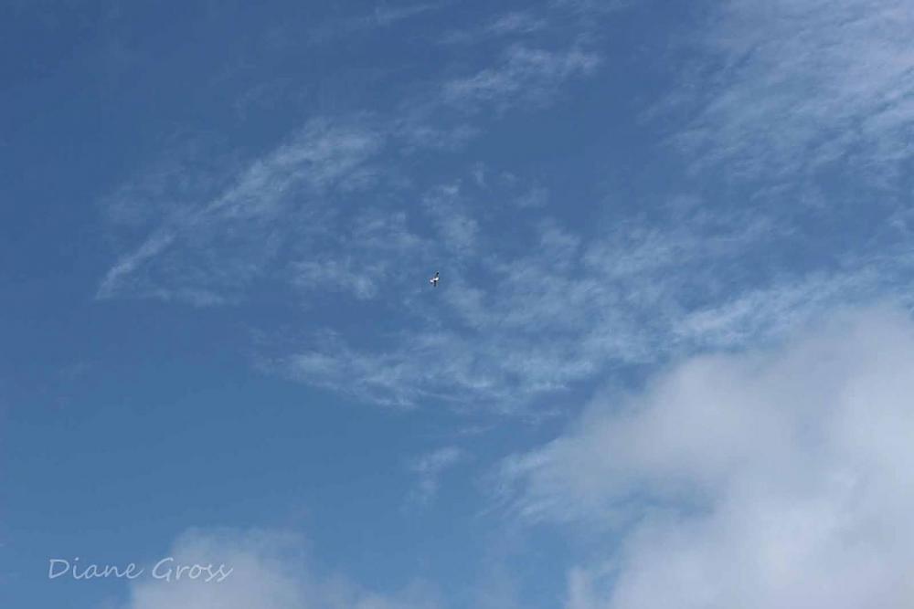 Click image for larger version

Name:	IMG_2655.JPG
Views:	293
Size:	48.4 KB
ID:	139412