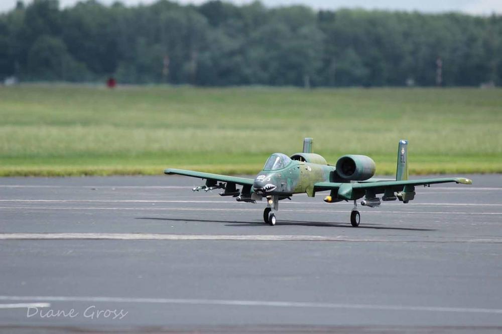 Click image for larger version

Name:	IMG_2698.JPG
Views:	296
Size:	75.5 KB
ID:	139462