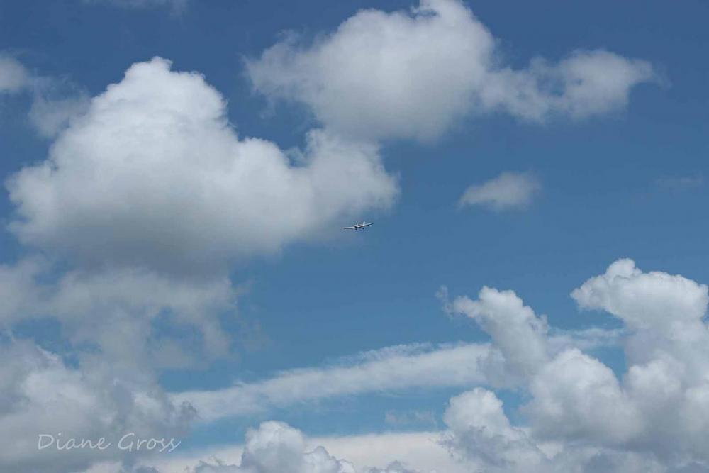 Click image for larger version

Name:	IMG_2722.JPG
Views:	306
Size:	55.2 KB
ID:	139483