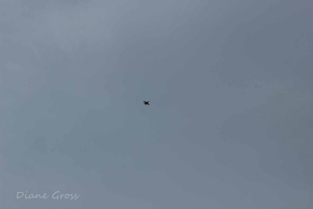 Click image for larger version

Name:	IMG_2829.JPG
Views:	286
Size:	25.4 KB
ID:	139590