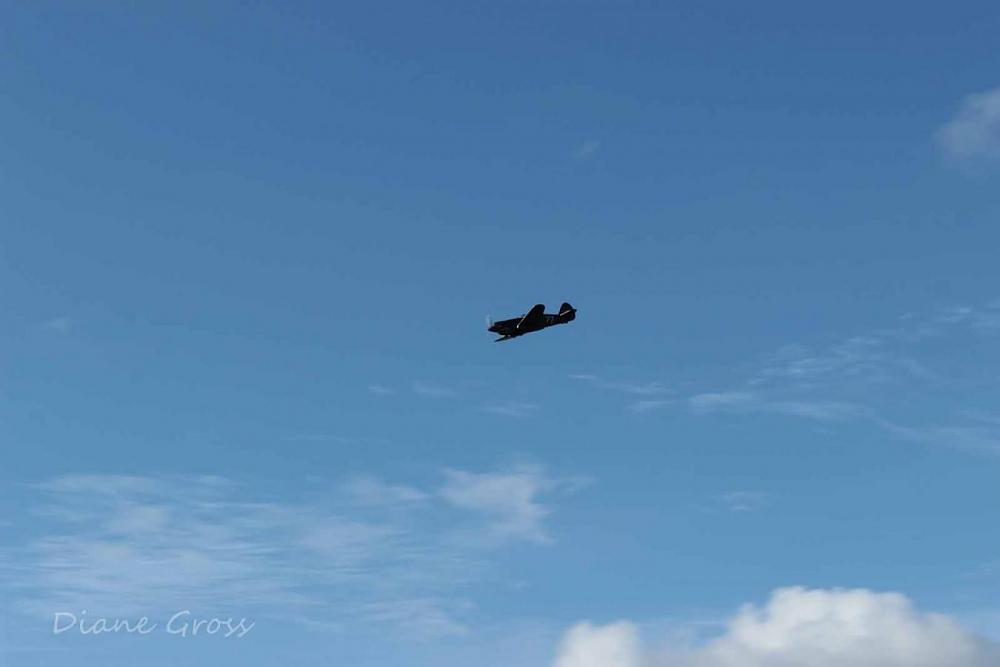 Click image for larger version

Name:	IMG_2925.JPG
Views:	300
Size:	35.0 KB
ID:	139698