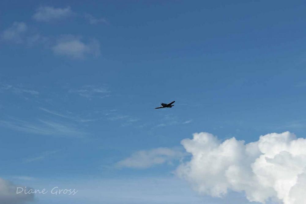 Click image for larger version

Name:	IMG_2931.JPG
Views:	321
Size:	39.3 KB
ID:	139704