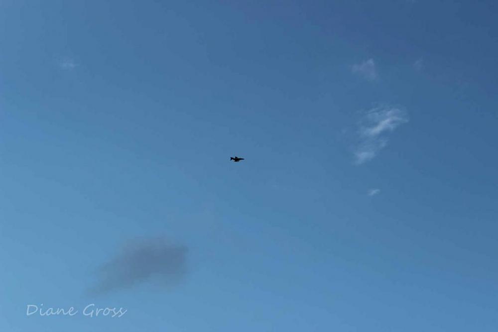 Click image for larger version

Name:	IMG_2971.JPG
Views:	286
Size:	28.1 KB
ID:	139747