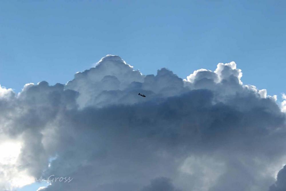 Click image for larger version

Name:	IMG_3046.JPG
Views:	278
Size:	46.8 KB
ID:	139978