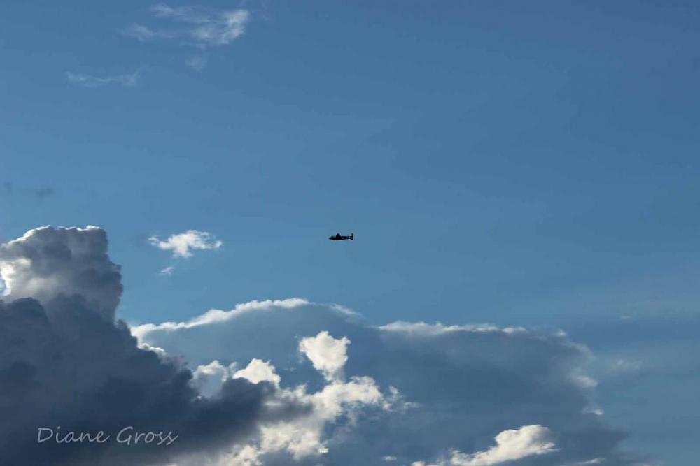 Click image for larger version

Name:	IMG_3047.JPG
Views:	262
Size:	45.2 KB
ID:	139979