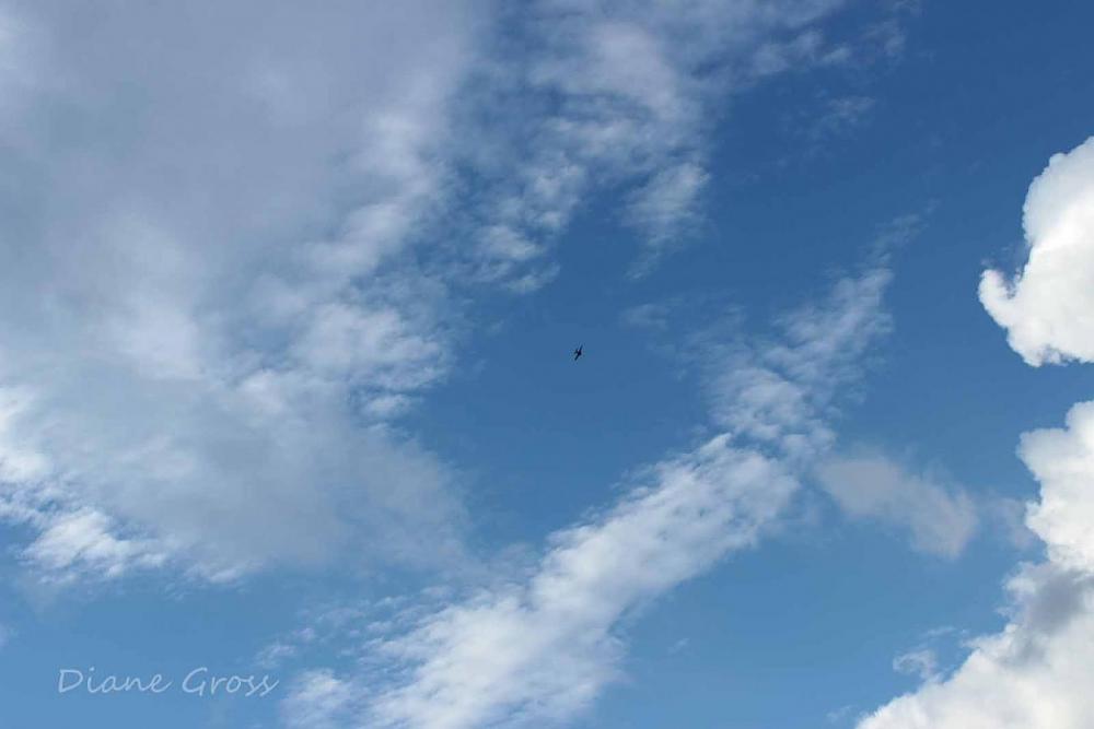 Click image for larger version

Name:	IMG_3063.JPG
Views:	281
Size:	59.0 KB
ID:	139996