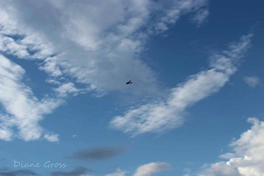 Click image for larger version

Name:	IMG_3066.JPG
Views:	283
Size:	62.1 KB
ID:	139999