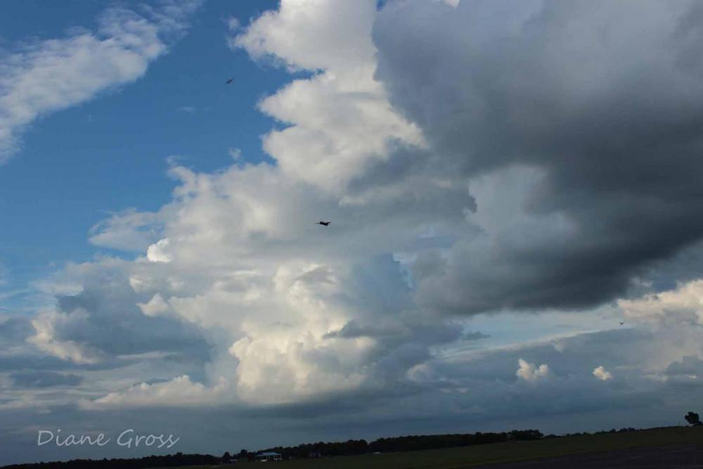 Click image for larger version

Name:	IMG_3090.JPG
Views:	271
Size:	62.5 KB
ID:	140024