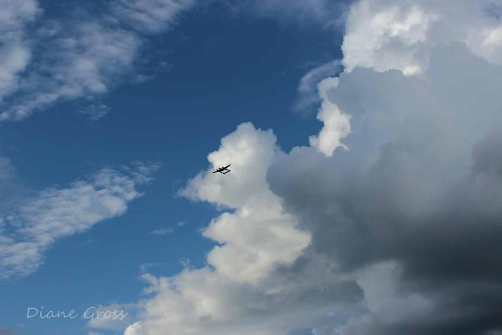 Click image for larger version

Name:	IMG_3106.JPG
Views:	280
Size:	55.7 KB
ID:	140041