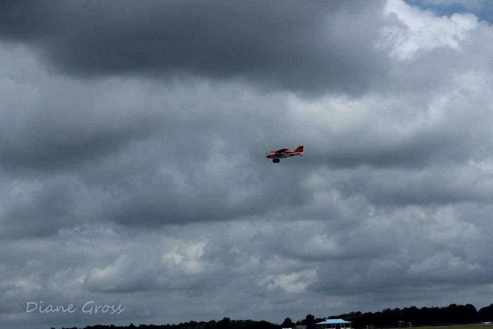 Click image for larger version

Name:	IMG_3199.JPG
Views:	265
Size:	54.5 KB
ID:	140142