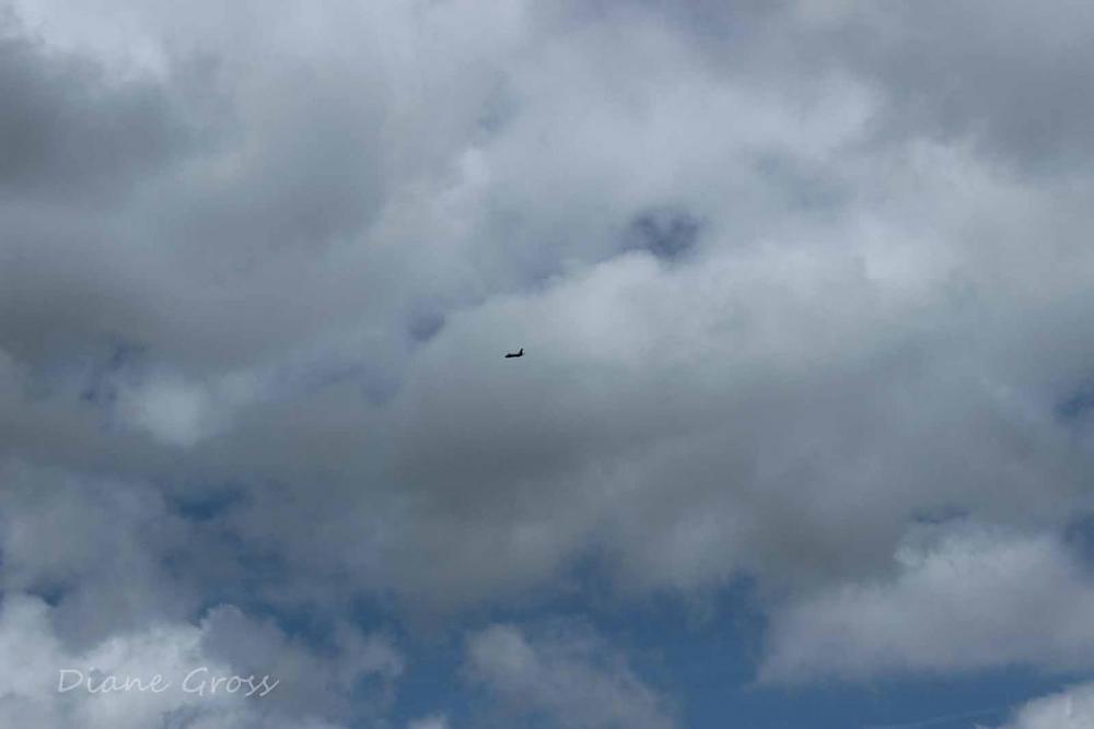 Click image for larger version

Name:	IMG_3303.JPG
Views:	294
Size:	45.5 KB
ID:	140305