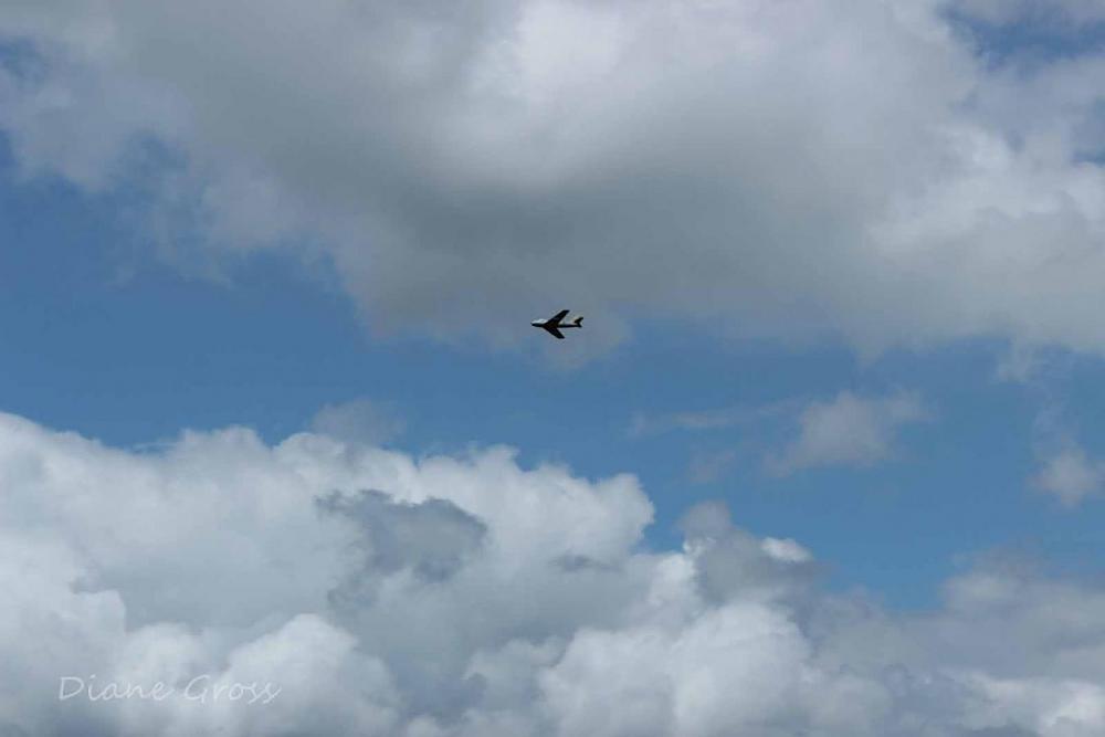 Click image for larger version

Name:	IMG_3311.JPG
Views:	308
Size:	46.9 KB
ID:	140313