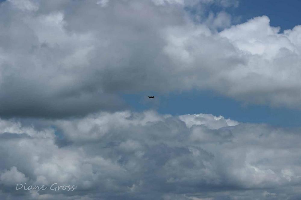 Click image for larger version

Name:	IMG_3318.JPG
Views:	303
Size:	54.2 KB
ID:	140320