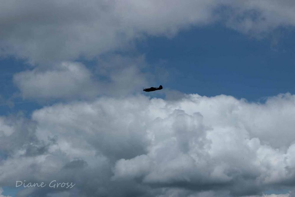 Click image for larger version

Name:	IMG_3320.JPG
Views:	301
Size:	51.6 KB
ID:	140322