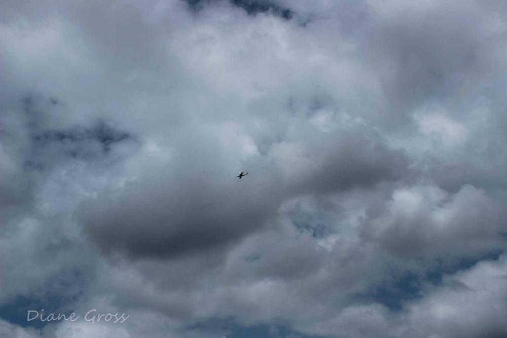 Click image for larger version

Name:	IMG_3371.JPG
Views:	292
Size:	51.3 KB
ID:	140379