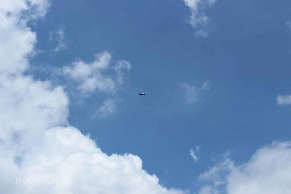 Click image for larger version

Name:	IMG_3384.JPG
Views:	293
Size:	46.1 KB
ID:	140393