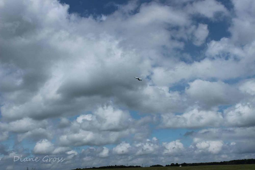 Click image for larger version

Name:	IMG_3399.JPG
Views:	282
Size:	69.0 KB
ID:	140408