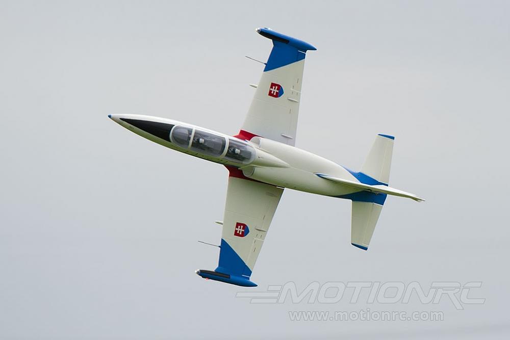 Click image for larger version  Name:	Freewing L-39 16.jpg Views:	1 Size:	43.6 KB ID:	151988