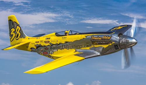 Click image for larger version

Name:	Precious_Metal.jpg
Views:	537
Size:	183.6 KB
ID:	154393