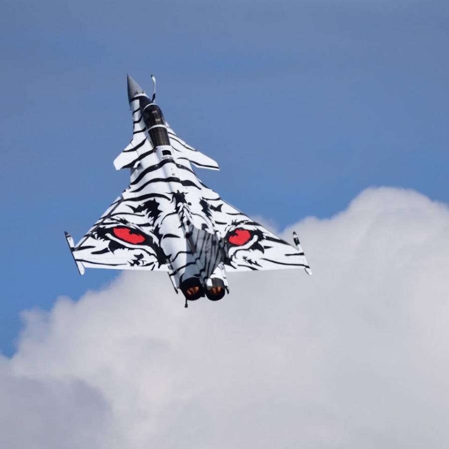 Click image for larger version  Name:	Tiger_Rafale.jpg Views:	1 Size:	40.3 KB ID:	157183