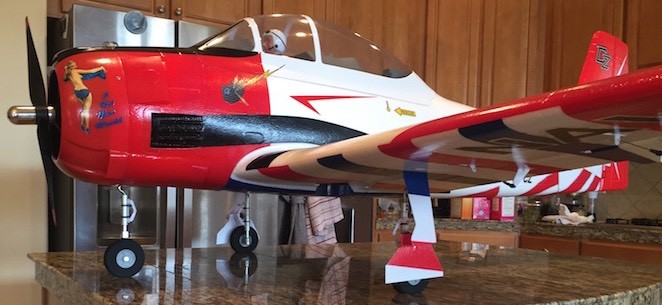 Click image for larger version

Name:	E-Flite-Carbon-Z-T-28-78inch.jpg
Views:	1005
Size:	60.1 KB
ID:	185677