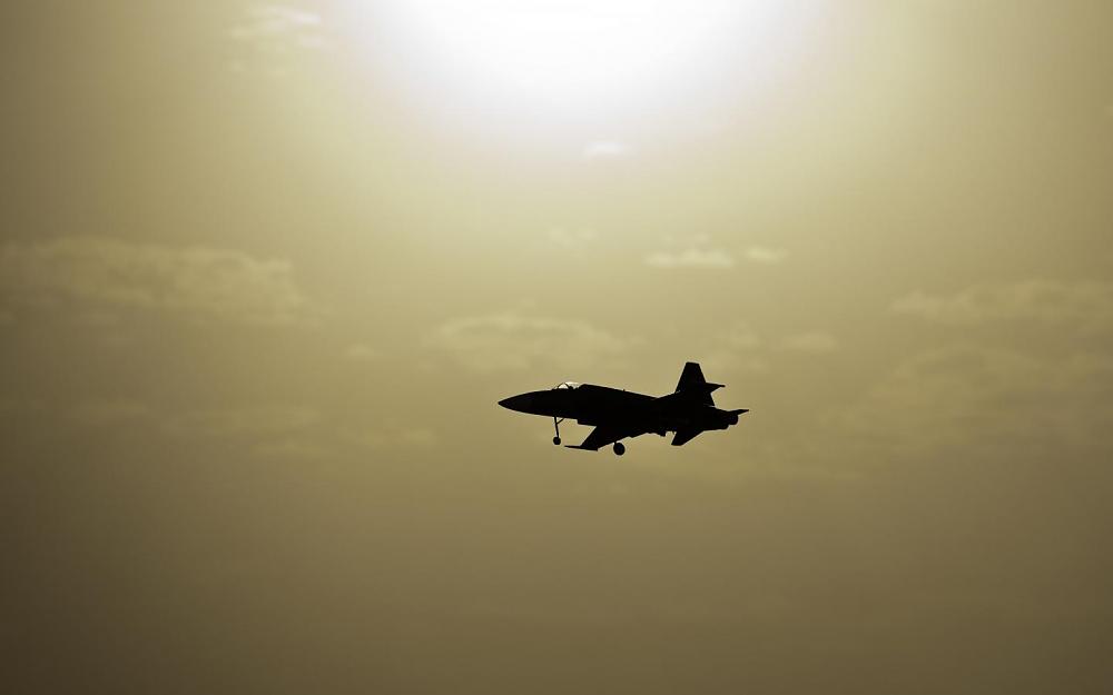 Click image for larger version

Name:	F-5E EDF Navy.jpg
Views:	2399
Size:	36.0 KB
ID:	186648