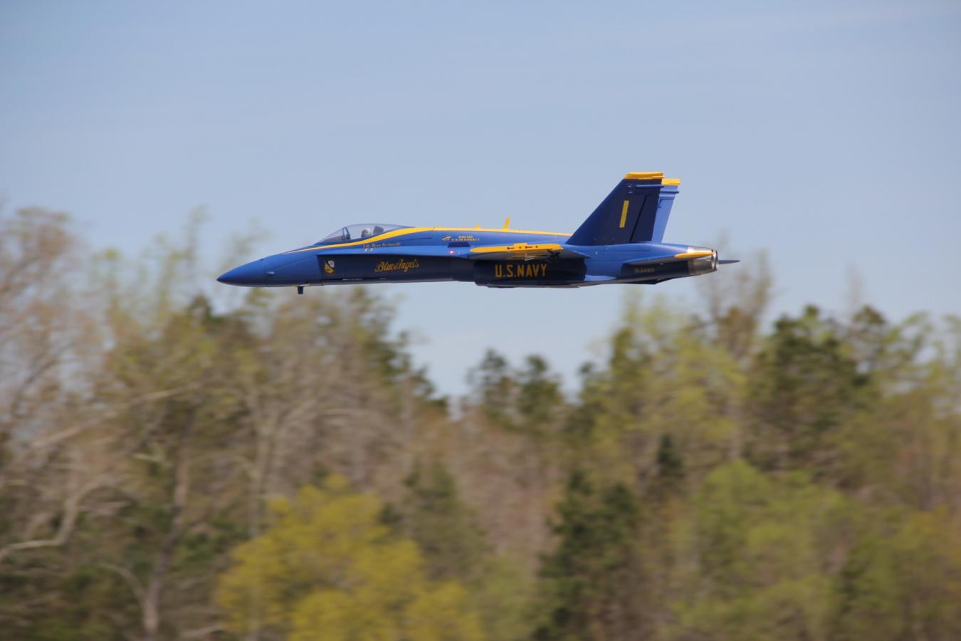 Click image for larger version

Name:	IMG_9519.JPG
Views:	1406
Size:	61.2 KB
ID:	188350