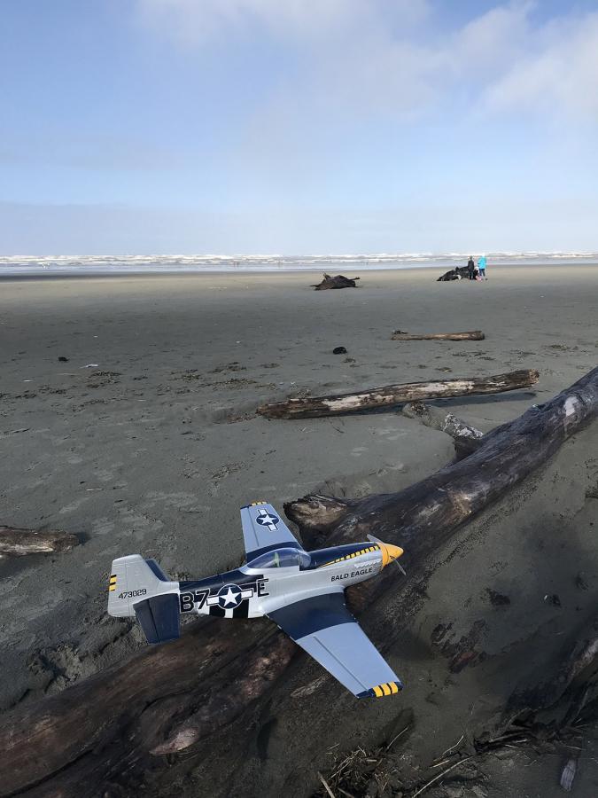 Click image for larger version

Name:	beach46a.jpg
Views:	862
Size:	70.6 KB
ID:	189892