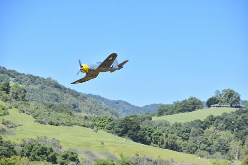 Click image for larger version

Name:	DSC_0750 copy.JPG
Views:	829
Size:	96.0 KB
ID:	191355