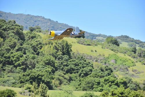 Click image for larger version

Name:	DSC_0751 copy.JPG
Views:	831
Size:	136.4 KB
ID:	191357