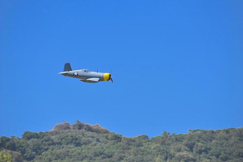 Click image for larger version

Name:	DSC_0684 copy.JPG
Views:	854
Size:	49.6 KB
ID:	191356