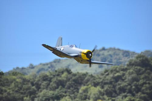 Click image for larger version

Name:	DSC_0806 copy.JPG
Views:	834
Size:	60.3 KB
ID:	191358