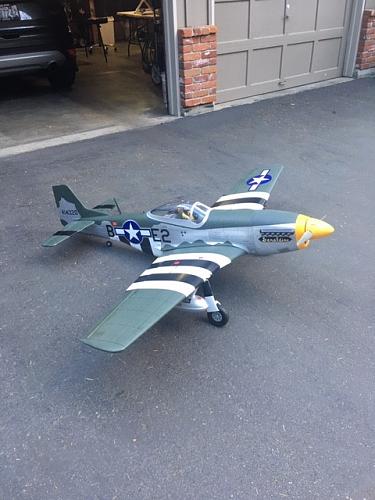 Click image for larger version

Name:	Maiden 1.JPG
Views:	549
Size:	79.8 KB
ID:	192128