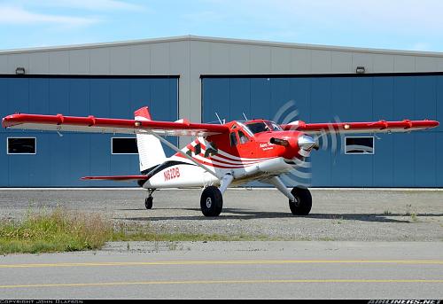 Click image for larger version  Name:	bush beaver.jpg Views:	0 Size:	191.3 KB ID:	195689