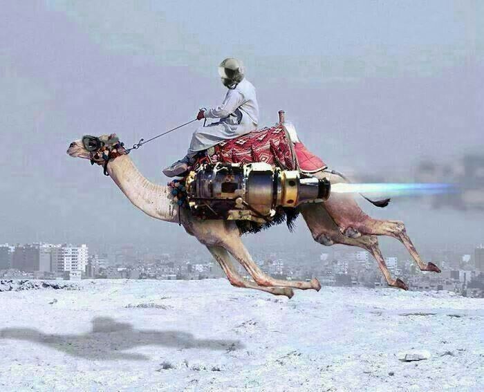 Click image for larger version

Name:	camel1.jpg
Views:	939
Size:	83.6 KB
ID:	197058