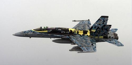 Click image for larger version

Name:	FA 18 Stingers.JPG
Views:	826
Size:	93.2 KB
ID:	265820