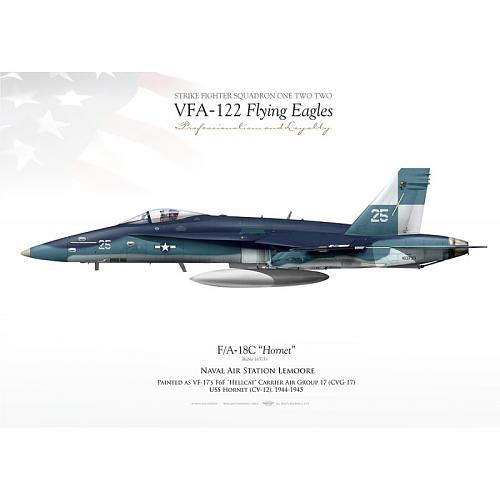 Click image for larger version

Name:	fa-18c-vfa-122-flying-eagles-jp-1102.jpg
Views:	1099
Size:	50.3 KB
ID:	212450