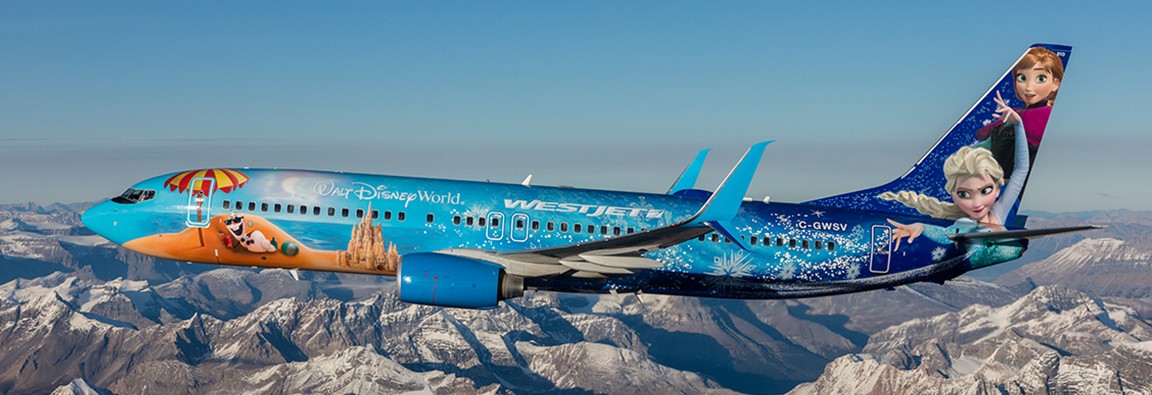 Click image for larger version

Name:	fleet-frozen-plane-1152x395.jpg
Views:	2649
Size:	126.6 KB
ID:	215793