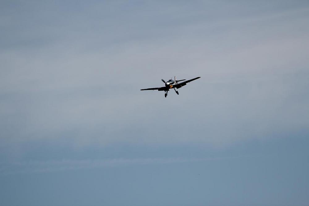 Click image for larger version

Name:	IMG_8922.JPG
Views:	554
Size:	27.7 KB
ID:	237893