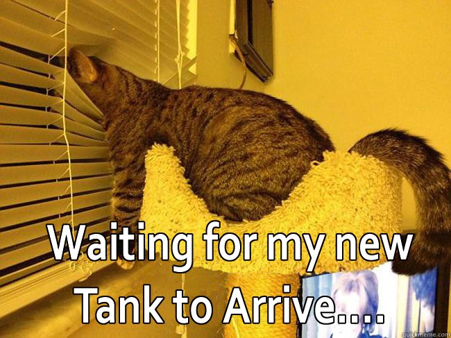 Click image for larger version

Name:	WaitingForTank.jpg
Views:	343
Size:	98.7 KB
ID:	246561
