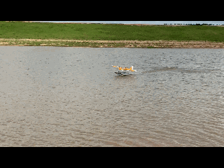Click image for larger version  Name:	SAR4.gif Views:	0 Size:	1.74 MB ID:	256282